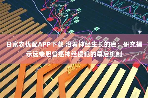 日富农优配APP下载 沿着神经生长的癌：研究揭示远端胆管癌神经侵犯的幕后机制