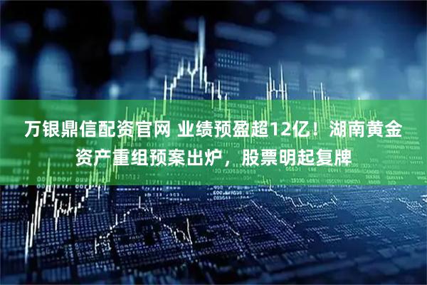 万银鼎信配资官网 业绩预盈超12亿！湖南黄金资产重组预案出炉，股票明起复牌